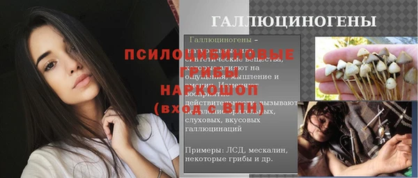 амф Алзамай