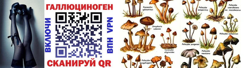 Псилоцибиновые грибы MAGIC MUSHROOMS даркнет сайт Фролово