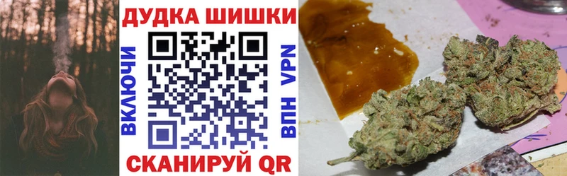 Конопля сатива  Фролово 